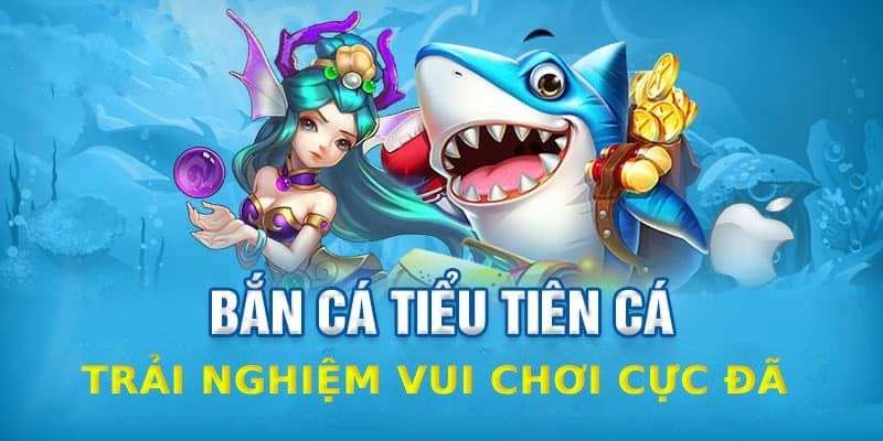 Đôi nét về bắn cá tiểu tiên Xin88