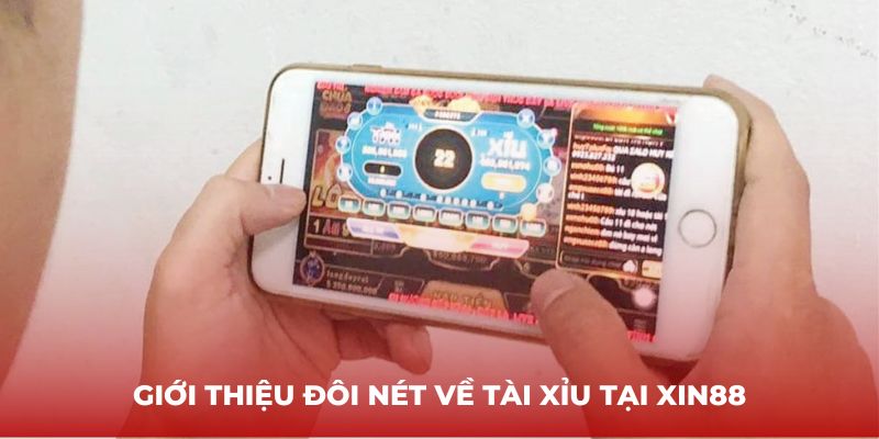 Giới thiệu đôi nét về Tài Xỉu tại XIN88